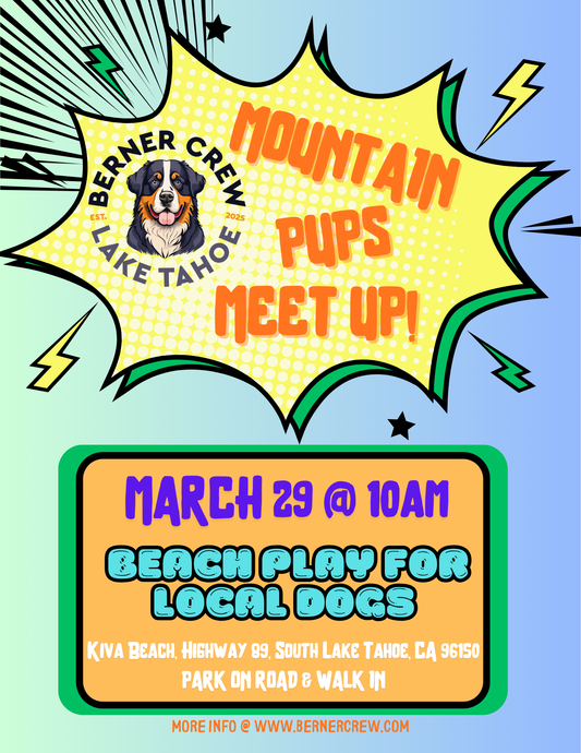 Mountain Pups Meet up! March 29 @10am