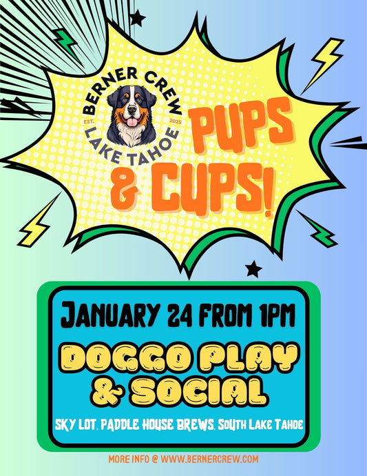 Meet up on January 24 @ 1pm in South Lake Tahoe!