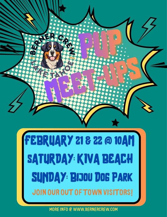 February 21 & 22: meet up with our out of town visitors!